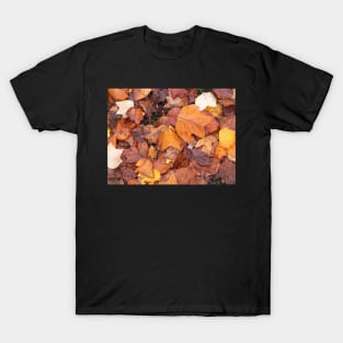 Colourful red and orange autumn leaves T-Shirt